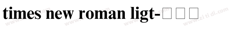 times new roman ligt字体转换 times new roman ligt字体转换